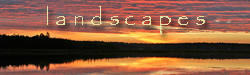 landscapes