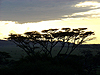 Serengeti NP - Tanzania