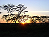 Serengeti NP - Tanzania
