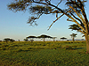 Serengeti NP - Tanzania