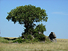 Serengeti NP - Tanzania