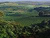 Gibbs Farm - Karatu - Tanzania
