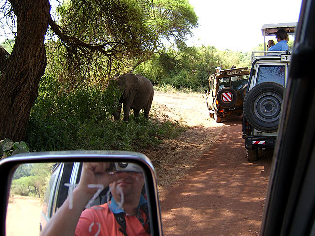 Lake Manyara National Park - Tanzania