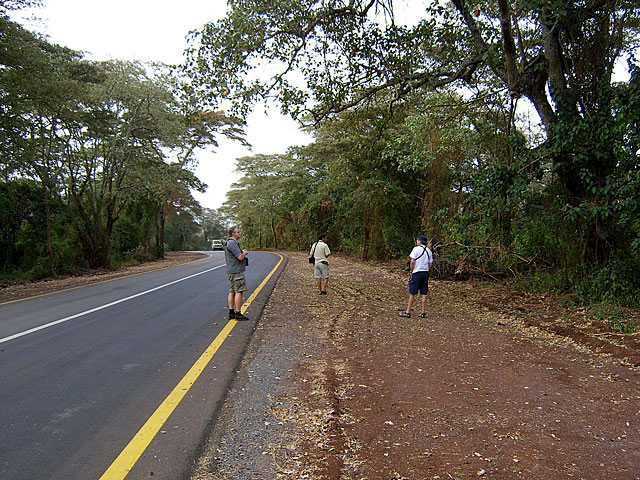 Ngorongoro Conservation Area - Tanzania