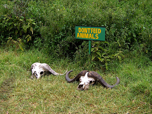 Ngorongoro Crater - Tanzania