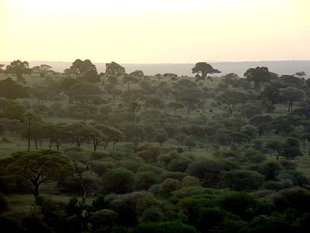 Tarangire National Park - Tanzania