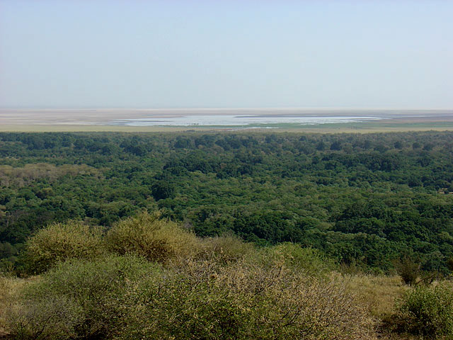 Lake Manyara National Park - Tanzania