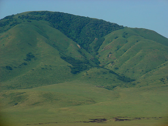 Ngorongoro Conservation Area - Tanzania