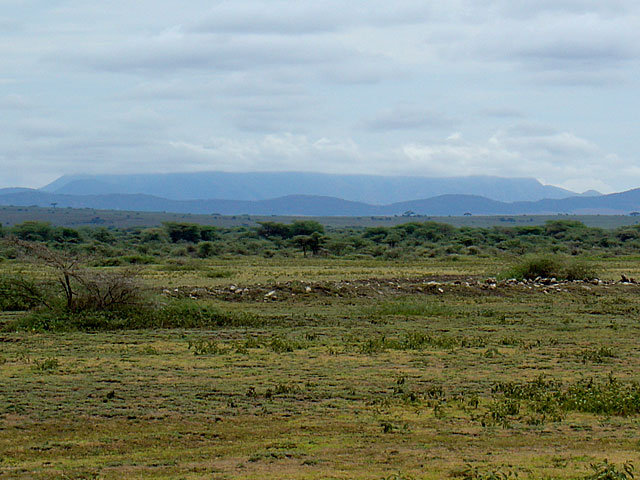 Ngorongoro Conservation Area - Tanzania