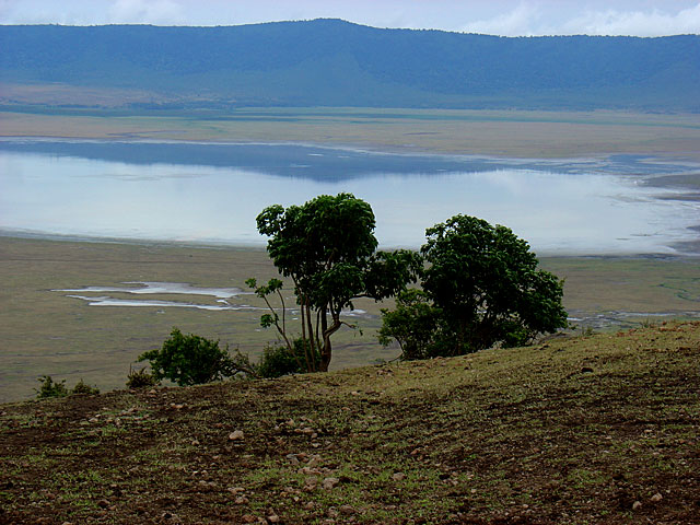 Ngorongoro Crater - Tanzania