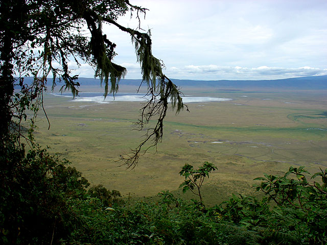 Ngorongoro Crater - Tanzania