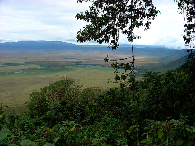 Ngorongoro Crater - Tanzania