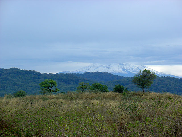 Mount Kilimanjaro - Arusha National Park - Tanzania