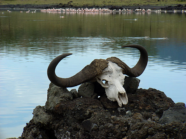 Big Momela Lake - Arusha National Park - Tanzania