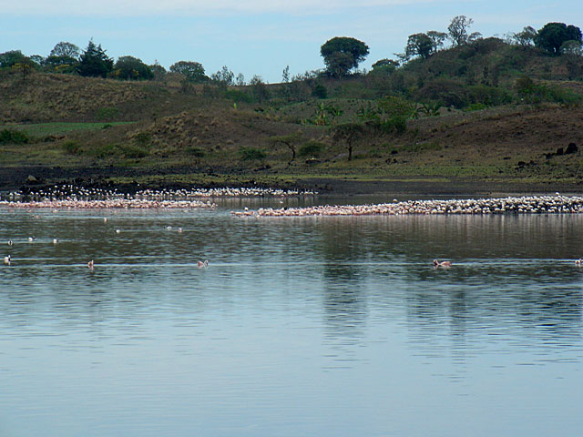 Big Momela Lake - Arusha National Park - Tanzania