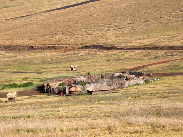 Booma - Ngorongoro Conservation Area - Tanzania